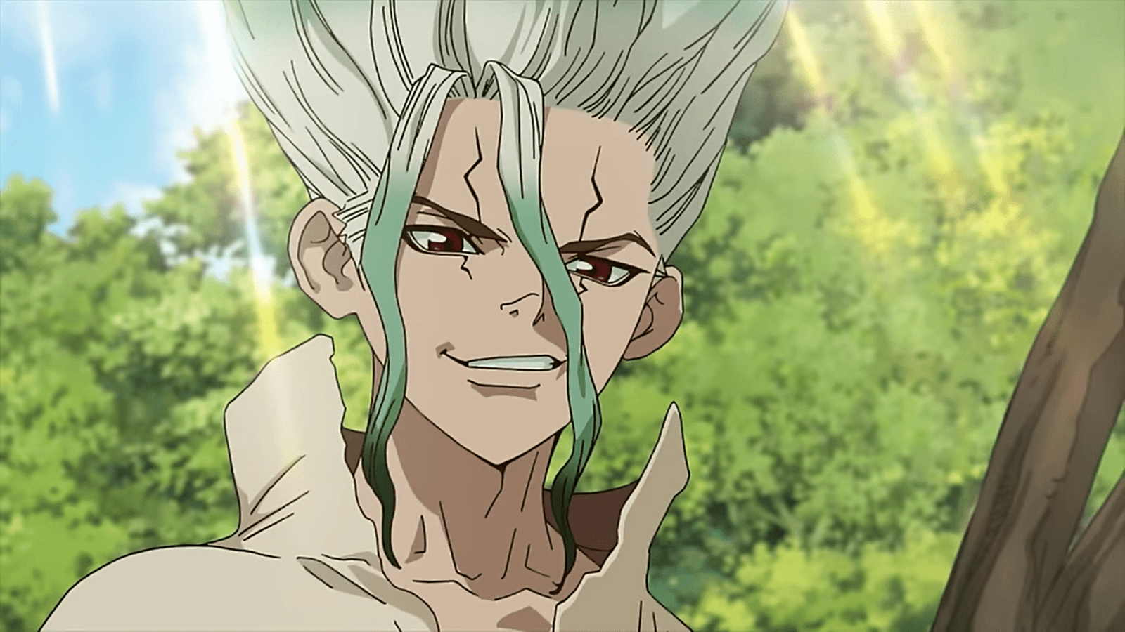 dr. stone